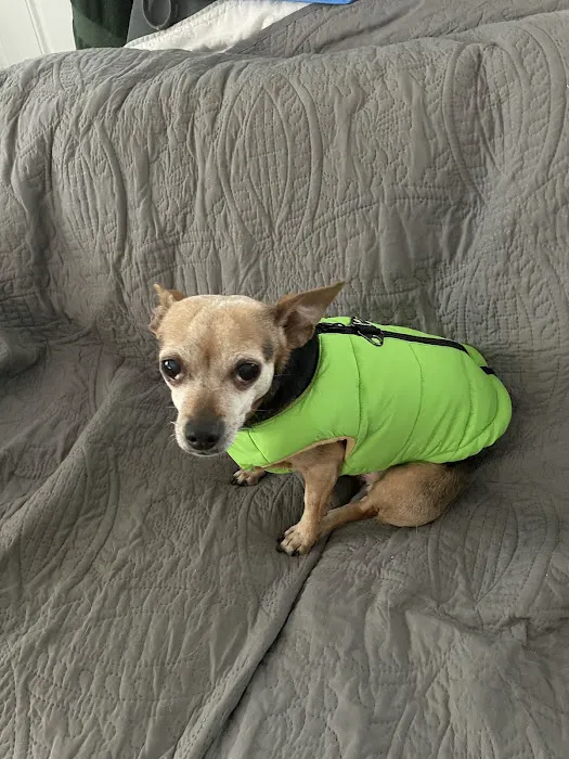 Forestville Animal Hospital 6