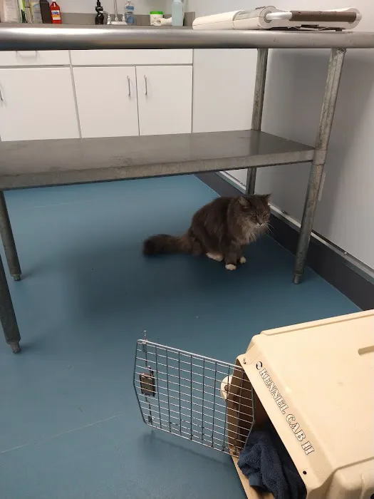 Forestville Animal Hospital 1