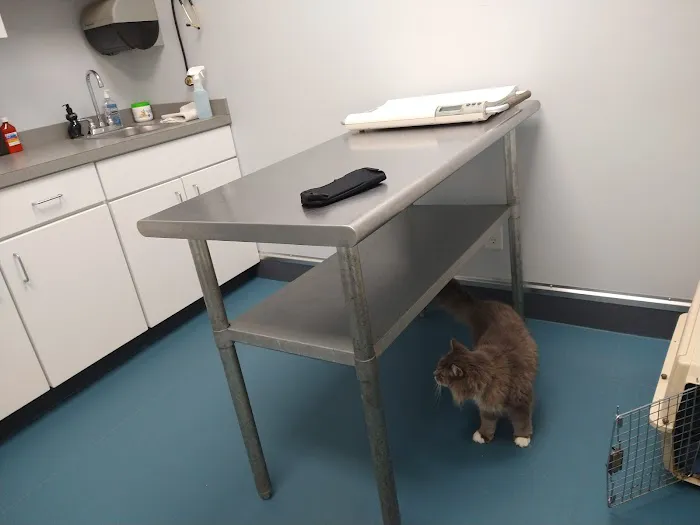 Forestville Animal Hospital 7