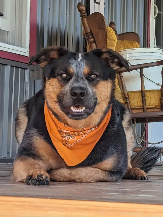 Warren Veterinary Hospital 2
