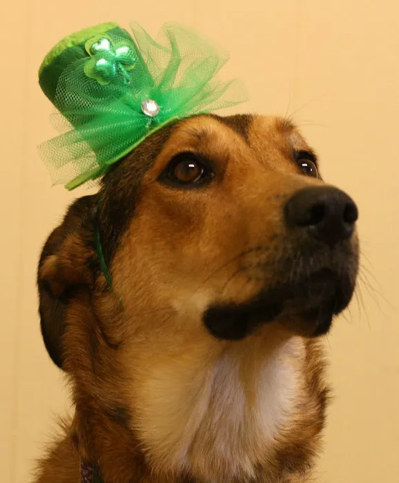 Warren Veterinary Hospital 3