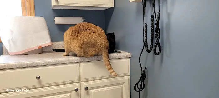 Kinzua Veterinary Clinic 2