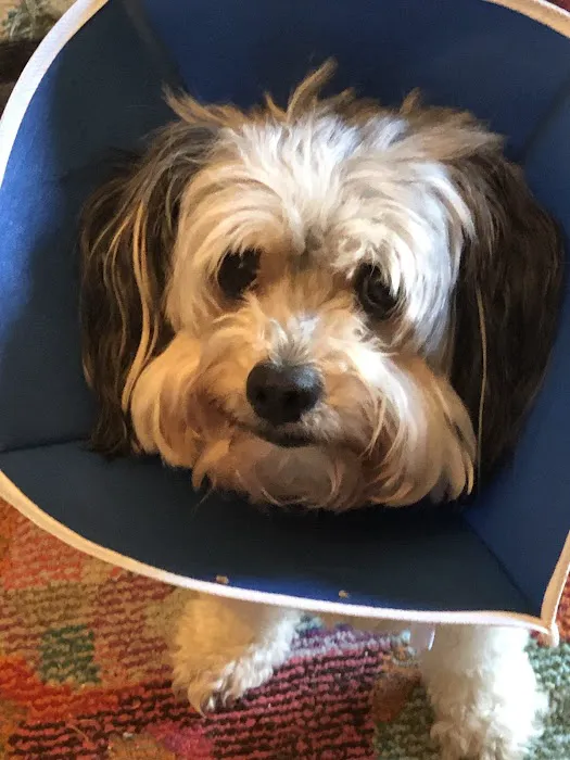 Southern Hills Veterinary Hospital 1