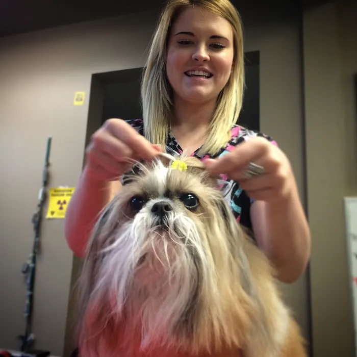 Southern Hills Veterinary Hospital 7