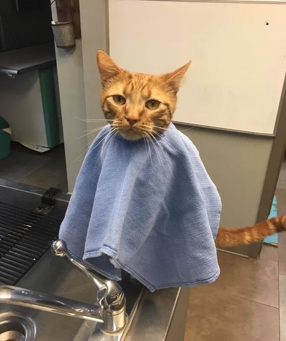 Southern Hills Veterinary Hospital 6