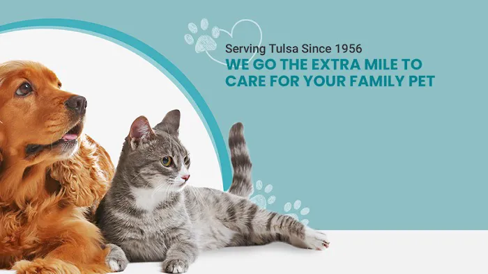 Southern Hills Veterinary Hospital 2