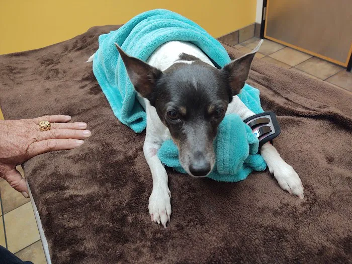 Banfield Pet Hospital 3