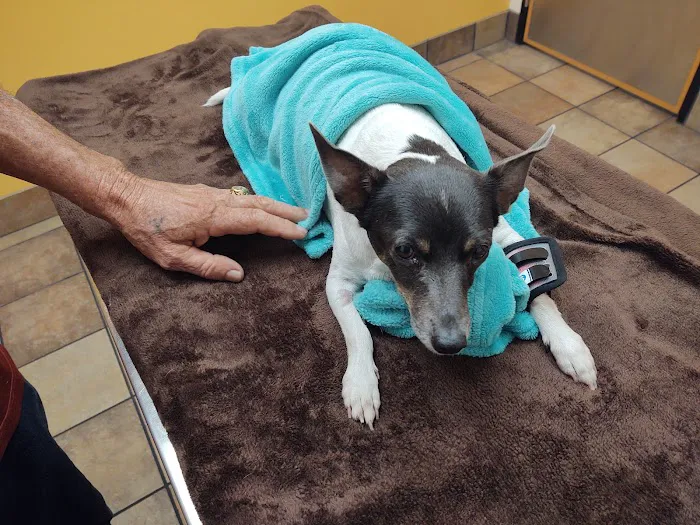 Banfield Pet Hospital 1