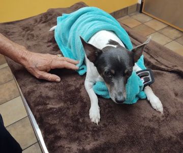 Banfield Pet Hospital