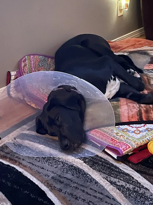 Banfield Pet Hospital 2