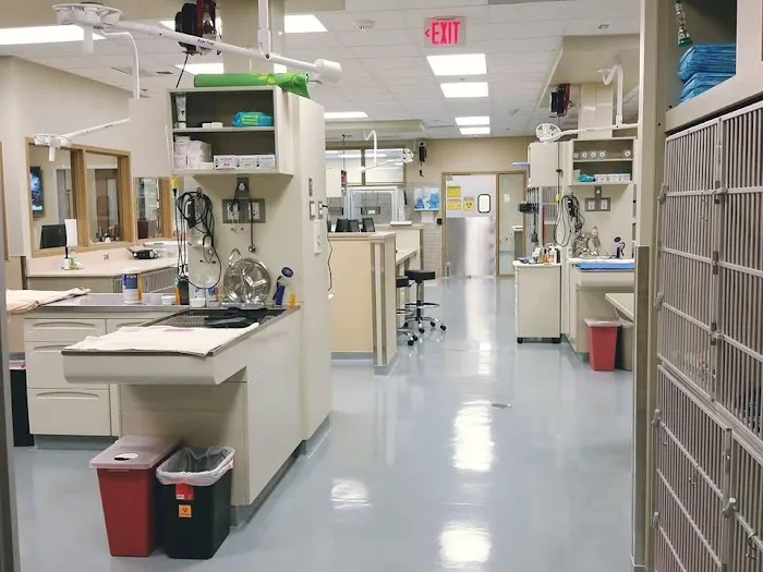 Oklahoma Veterinary Specialists 9