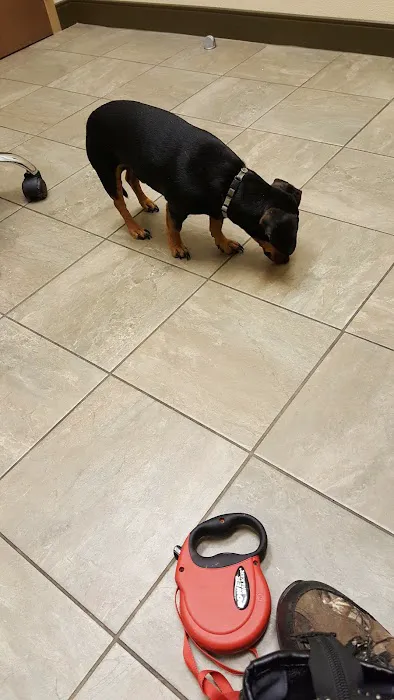 Oklahoma Veterinary Specialists 8