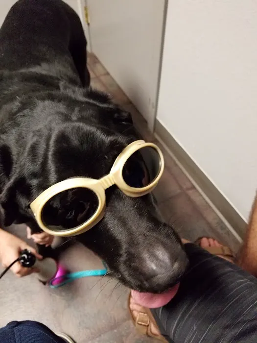 Hammond Animal Hospital 9