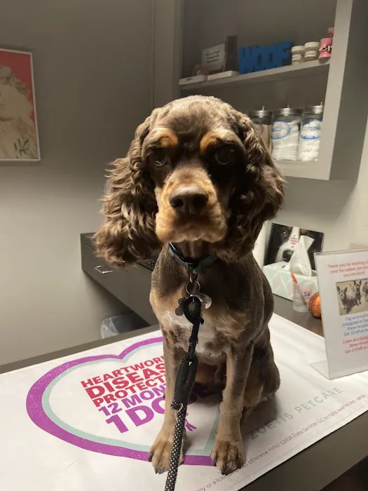 Hammond Animal Hospital 7