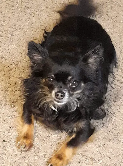 Hammond Animal Hospital 6