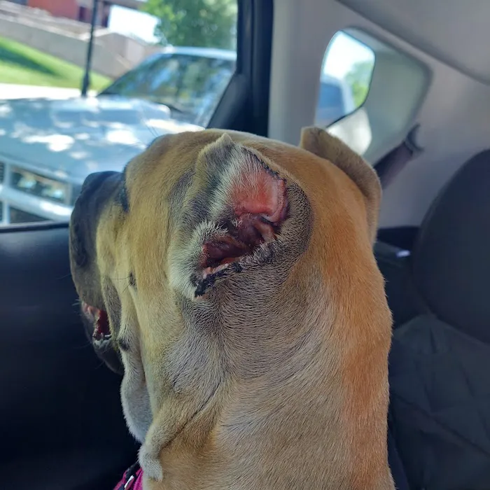 Danner Veterinary Hospital 4