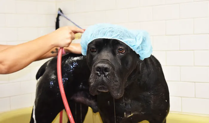 Danner Veterinary Hospital 3