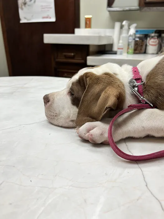 Danner Veterinary Hospital 6