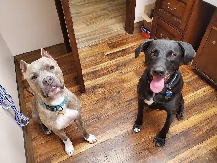 Danner Veterinary Hospital 10