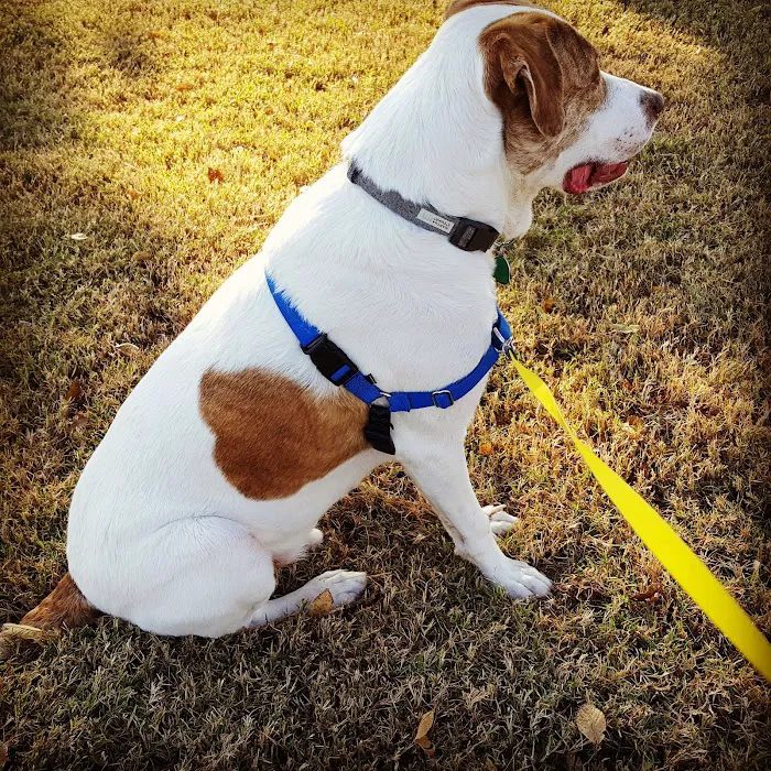 Jenks Veterinary Hospital 6