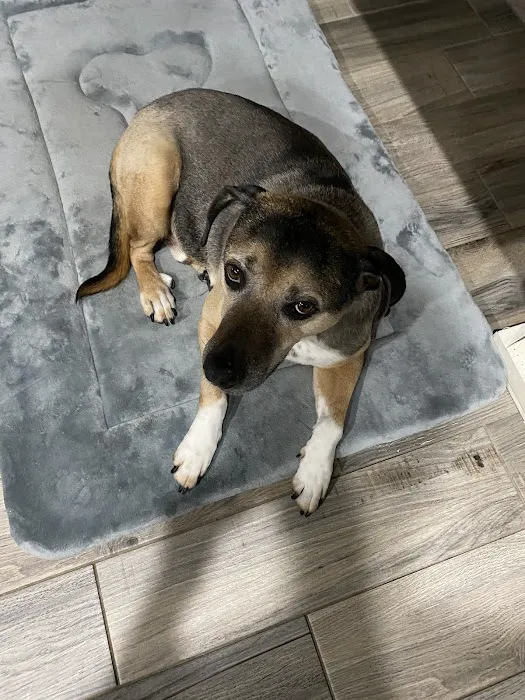 Jenks Veterinary Hospital 1