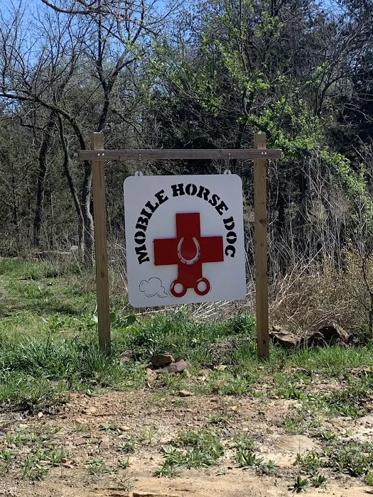 Mobile Horse Doc: Erica Wallace, DVM 4