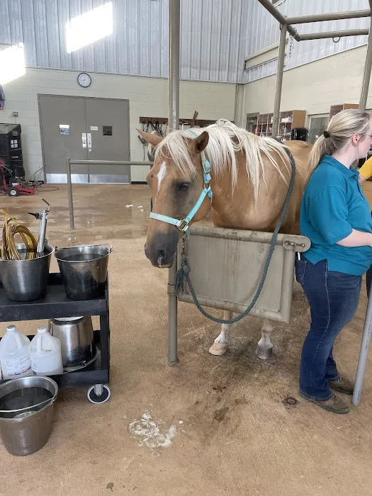 Pine Ridge Equine Hospital 7