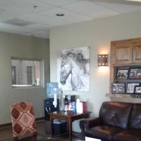 Pine Ridge Equine Hospital ico