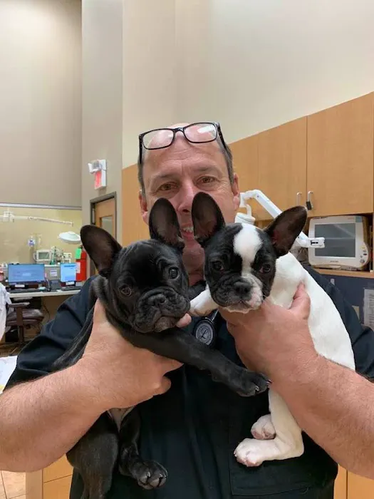 Woodland West Animal Hospital 9