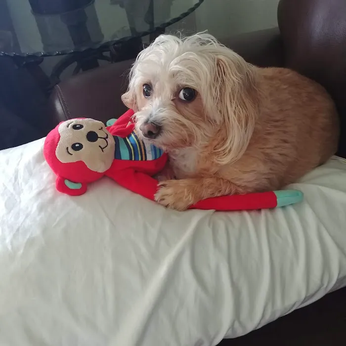 Woodland West Animal Hospital 4
