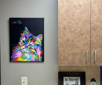 Woodland West Animal Hospital: Yeagley Todd DVM