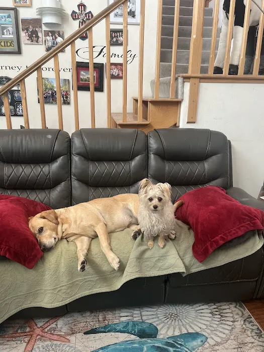 Banfield Pet Hospital 2
