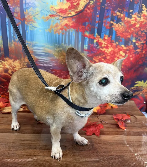 Banfield Pet Hospital 5