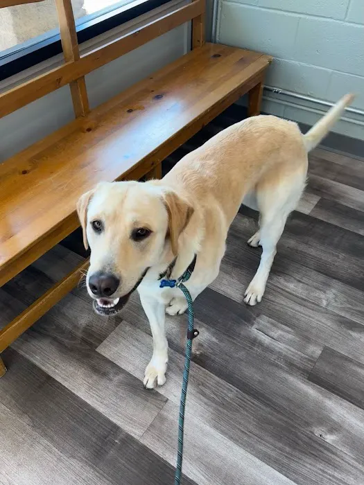 Sycamore Veterinary Hospital 2