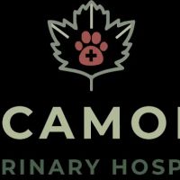 Sycamore Veterinary Hospital ico