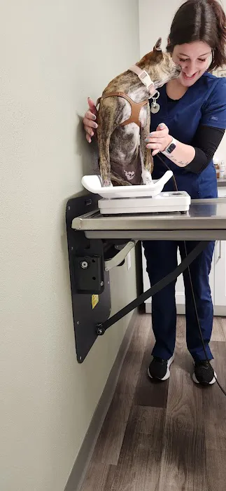 Sycamore Veterinary Hospital 4