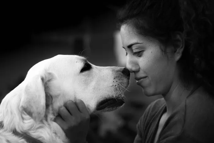 Sycamore Veterinary Hospital 7
