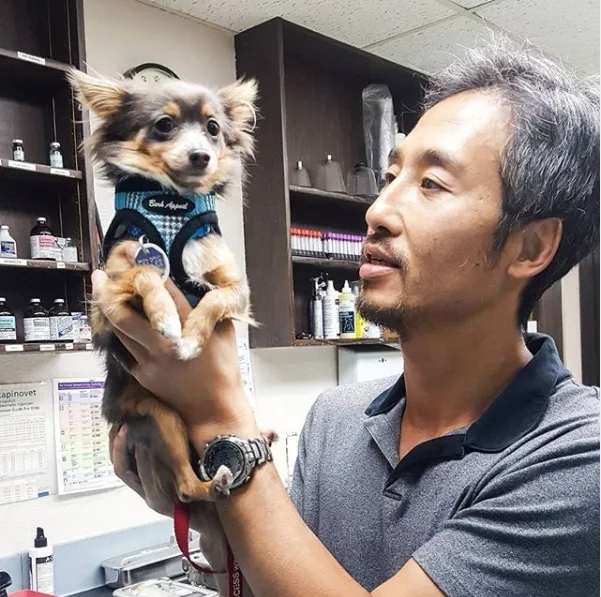 Rancho Sequoia Veterinary Hospital 10