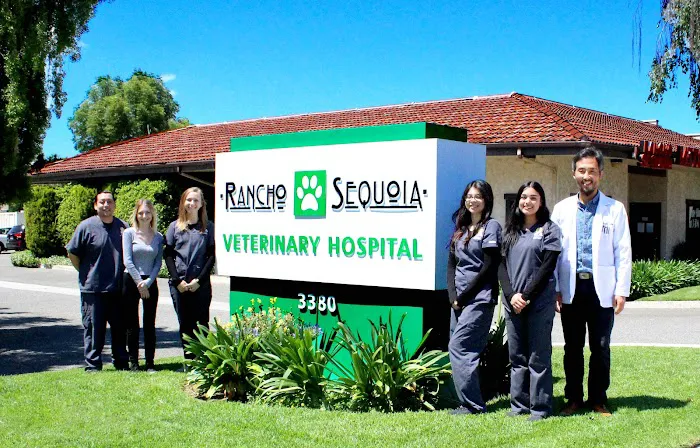 Rancho Sequoia Veterinary Hospital 7