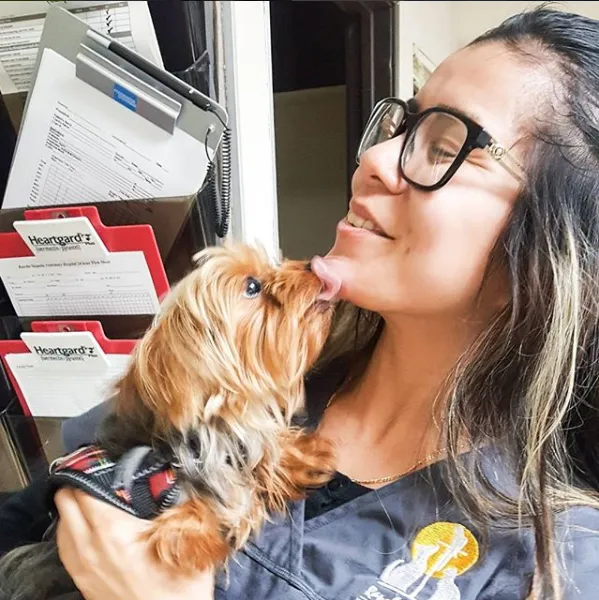 Rancho Sequoia Veterinary Hospital 8