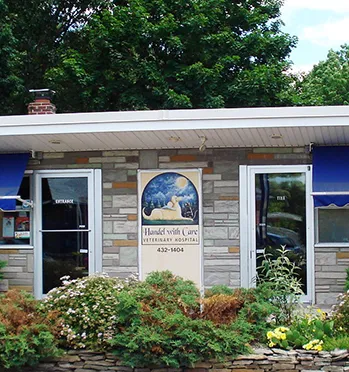 Orchard Village Animal Clinic - A Thrive Pet Healthcare Partner 2