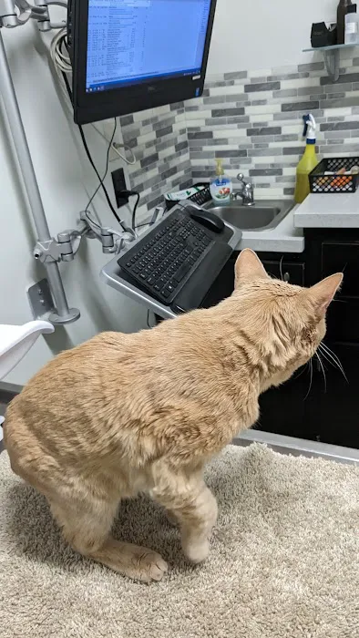 Derry Animal Hospital 1