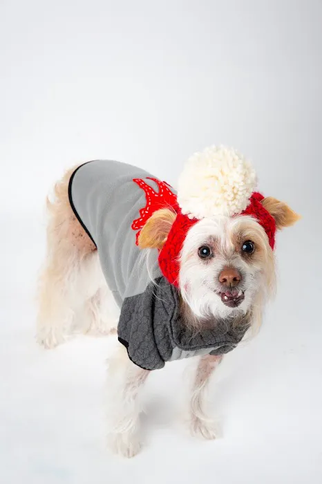 Canobie Lake Veterinary Hospital 4