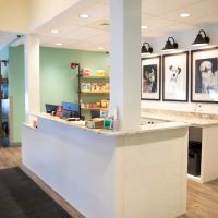 Canobie Lake Veterinary Hospital ico