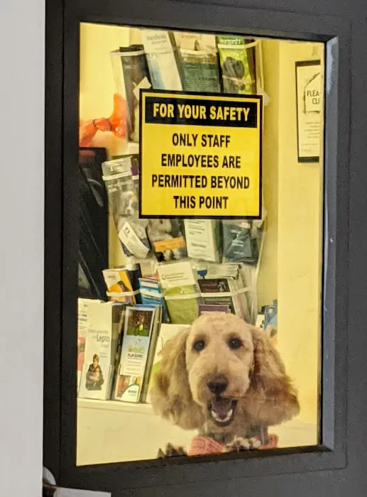 Companion Animal Hospital 3