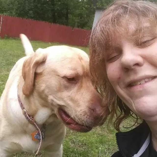 VCA Laconia Animal Hospital 6