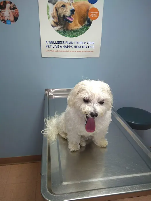 VCA Lakes Region Veterinary Hospital 3