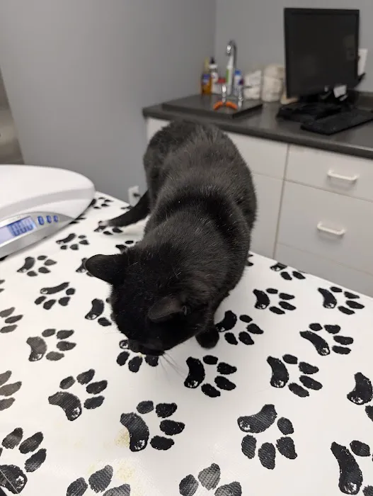 VCA Lakes Region Veterinary Hospital 2