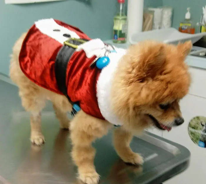 VCA Lakes Region Veterinary Hospital 7
