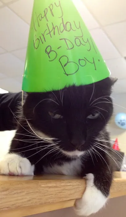 MacDonald Veterinary Service 9